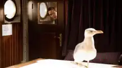 Ковчег (2011 – 2013) 1 сезон 5 серия